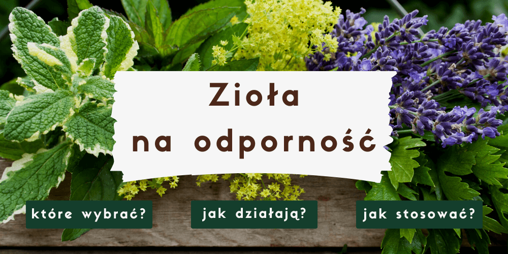 Najlepsze zioła na odporność