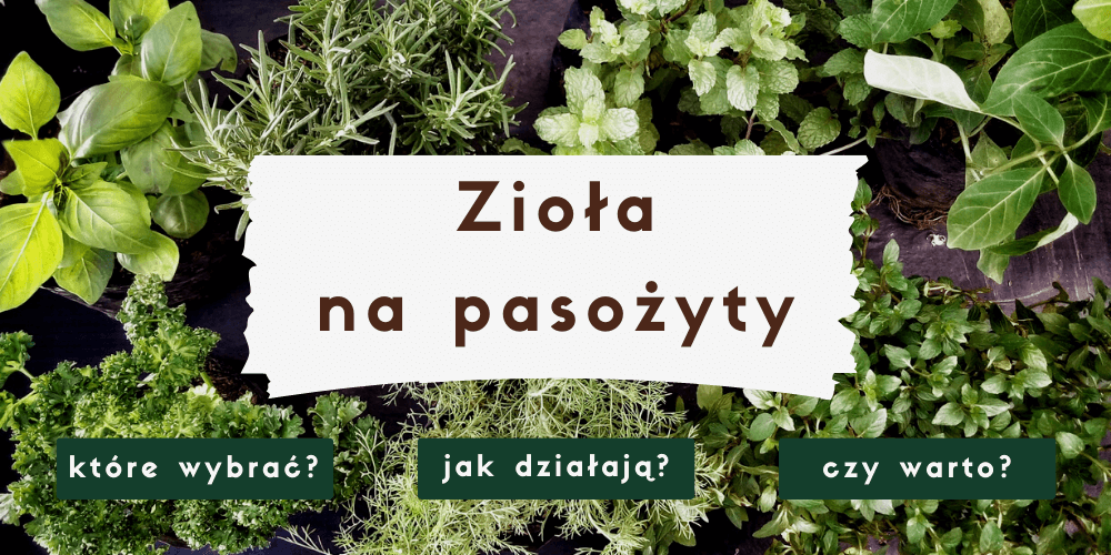 Zioła na pasożyty ‒ jakie wybrać?