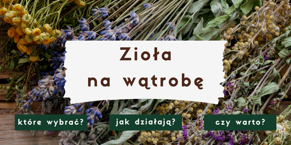 Zioła na wątrobę ‒ które wybrać?