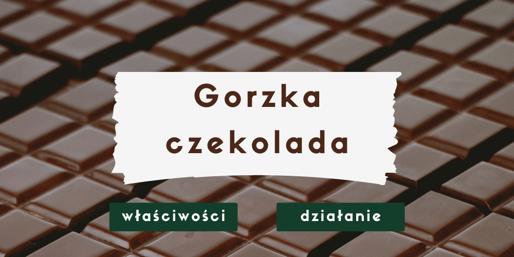 Gorzka czekolada – właściwości zdrowotne