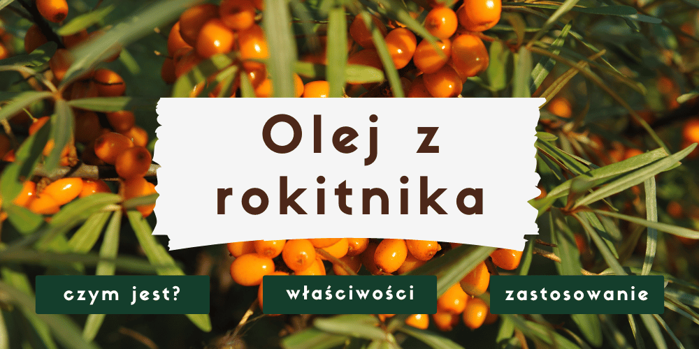 olej z rokitnika na co pomaga