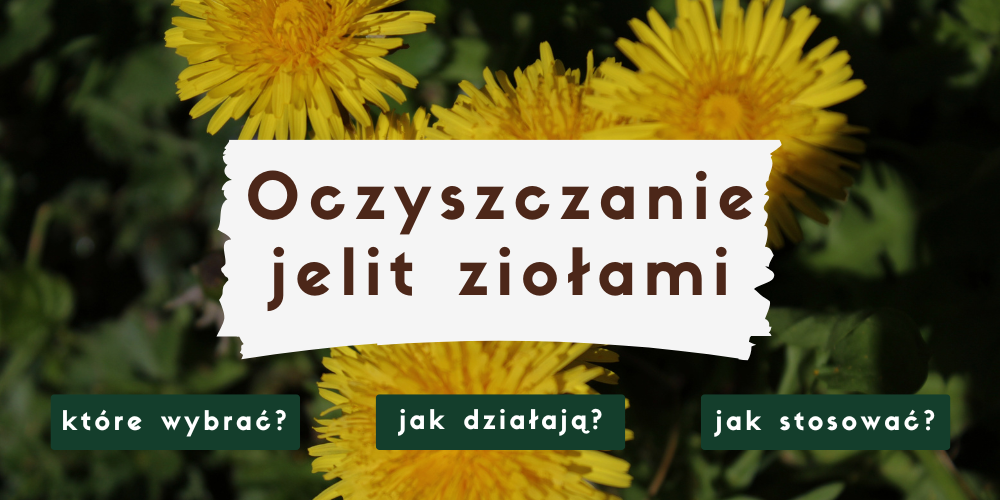 Jakie zioła na oczyszczenie jelit