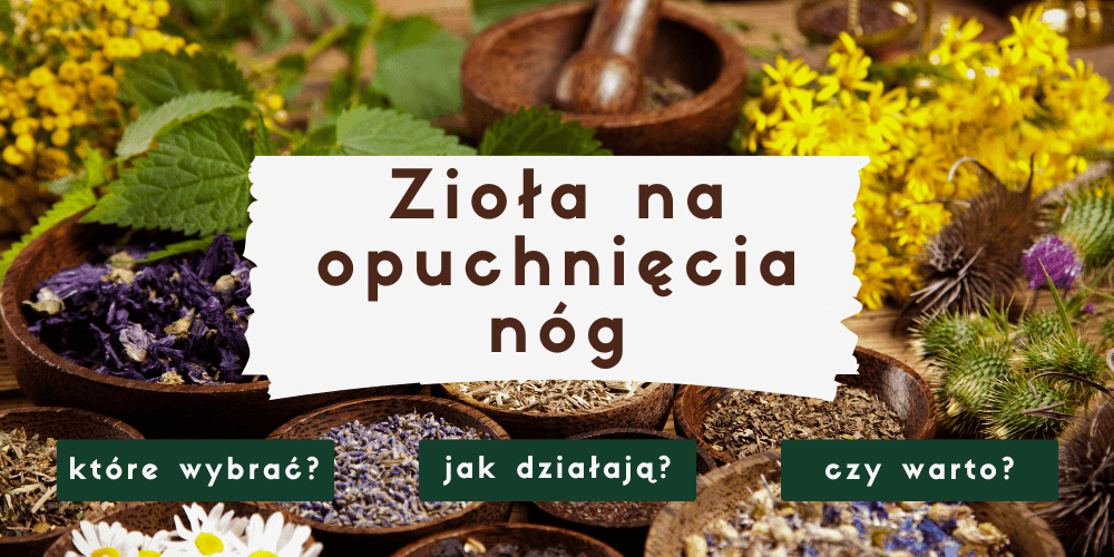 Zioła na opuchnięcia i obrzęki nóg