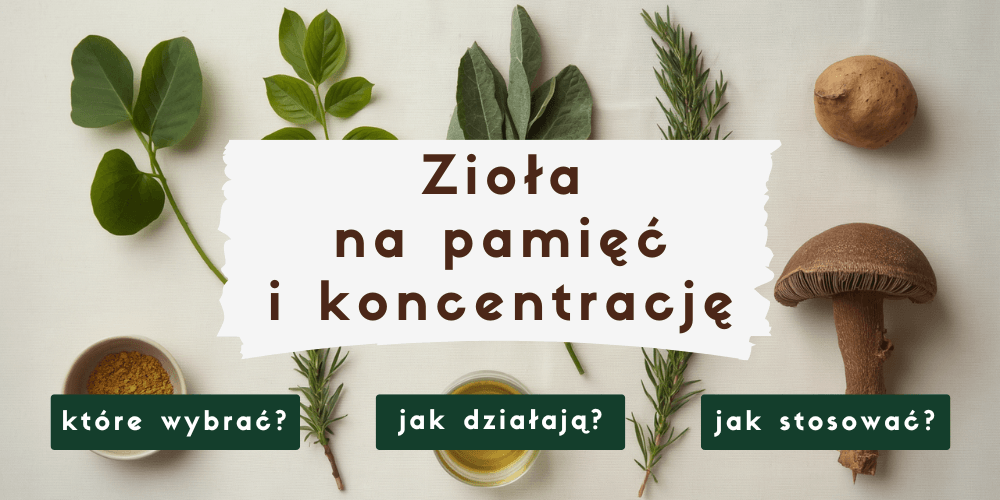 Zioła na pamięć i koncentrację – które naprawdę wspierają funkcje poznawcze?