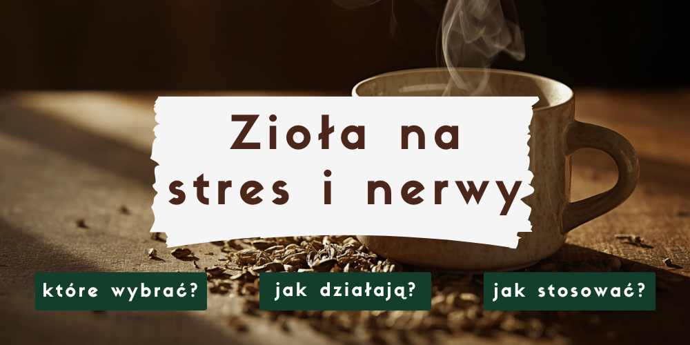 Zioła na stres i nerwy – które naprawdę działają i jak je stosować?