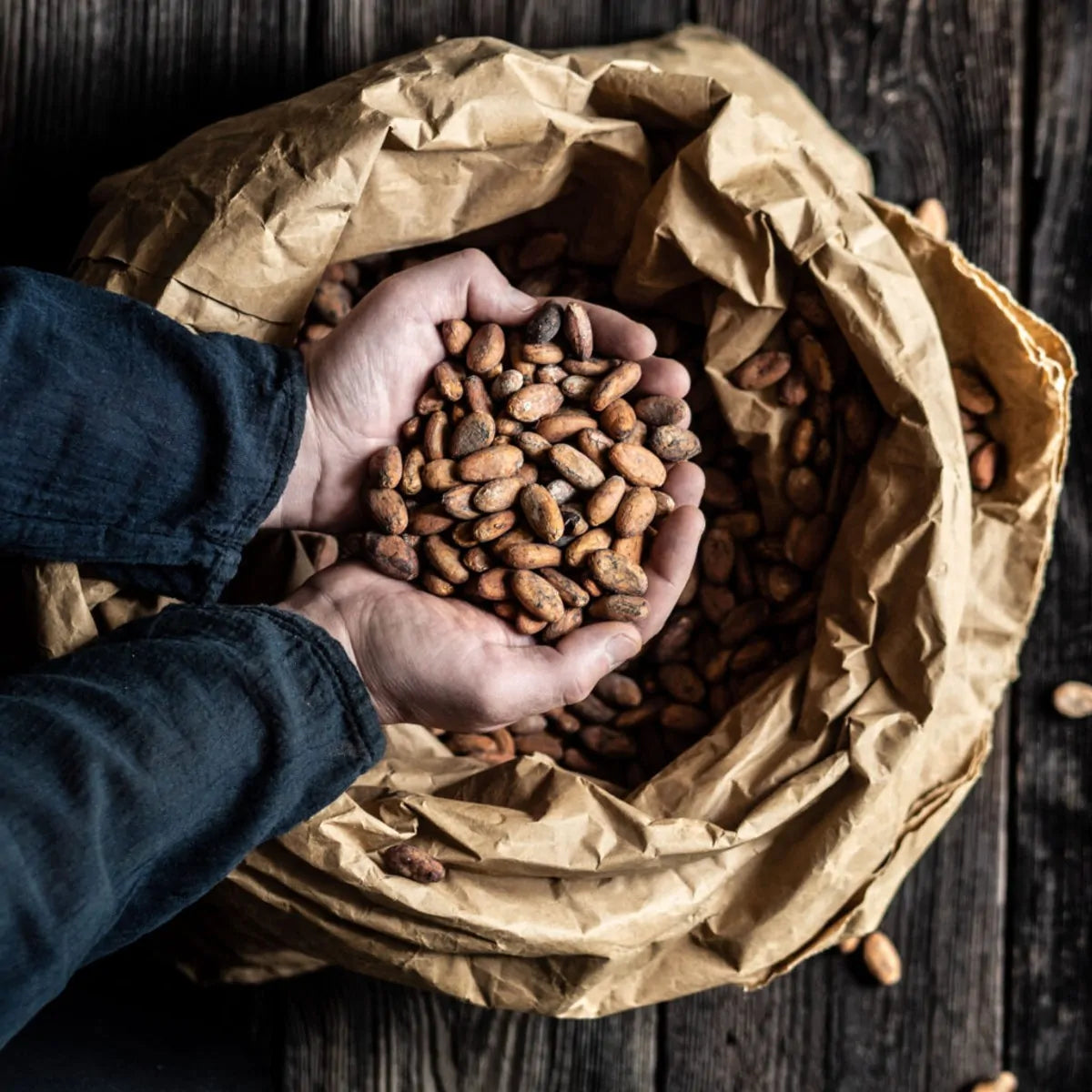 Surowe Ziarna Prawdziwego Kakao