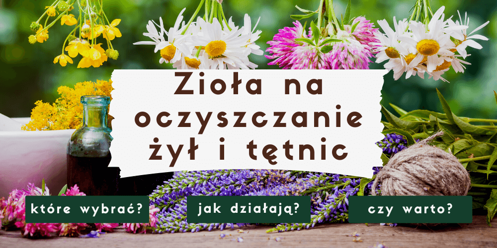 Zioła na oczyszczanie żył i tętnic