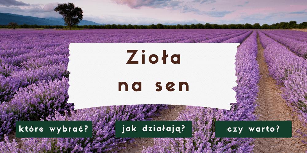 Zioła na sen i bezsenność