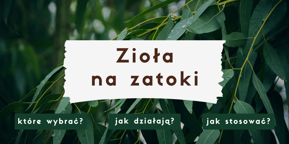zioła na zatoki