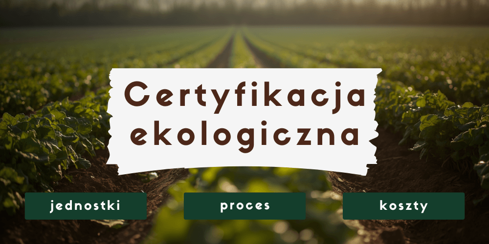 Jak wygląda proces certyfikacji ekologicznej?