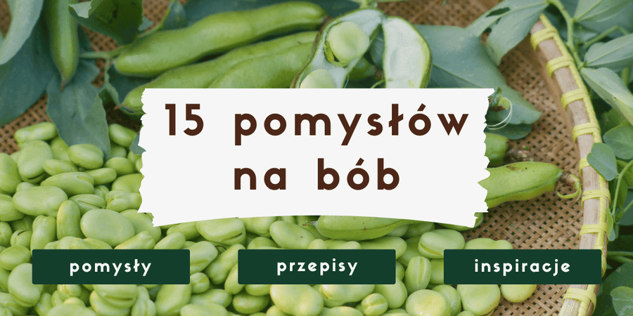 Bób - przepisy, właściwości, sposoby gotowania | blog Żywioł Zdrowia