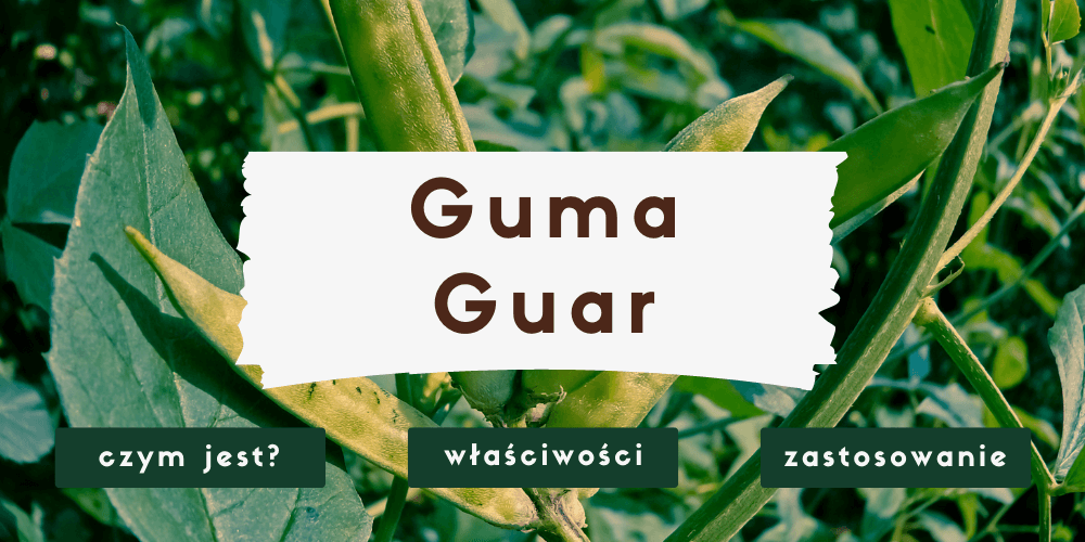 Guma guar - właściwości i zastosowanie