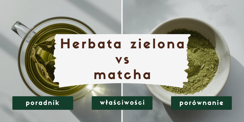 Herbata zielona vs matcha – czym się różnią i którą wybrać?
