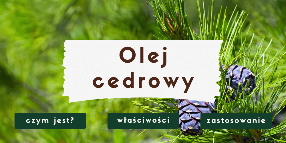 Olej cedrowy - właściwości i zastosowanie