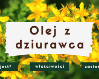 olej z dziurawca jak stosować