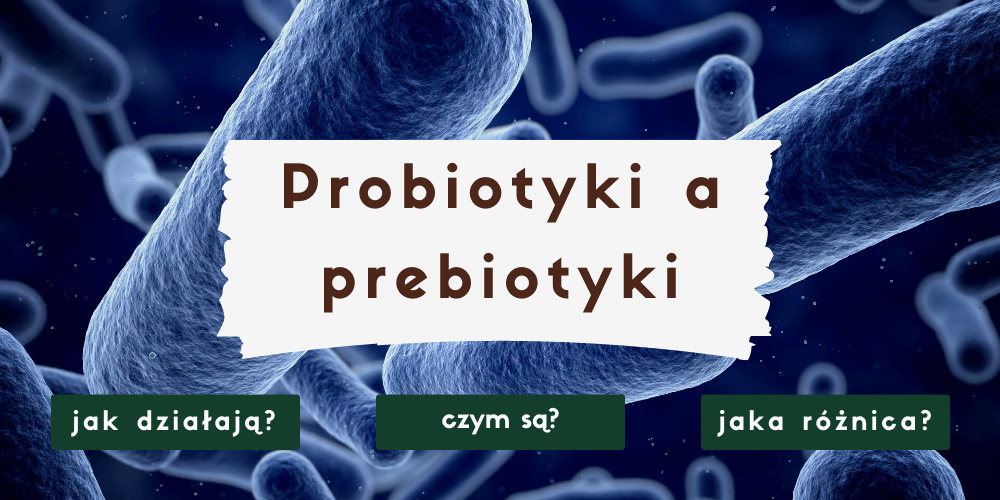 Probiotyki a prebiotyki - czym są i czym się różnią?