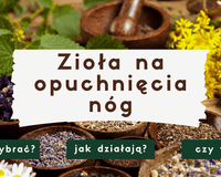 Zioła na opuchnięcia i obrzęki nóg