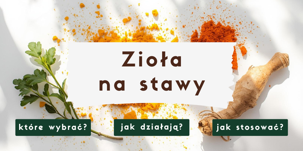 Zioła na stawy i bóle reumatyczne