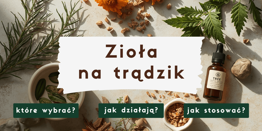 Zioła na trądzik – naturalne metody wsparcia skóry trądzikowej