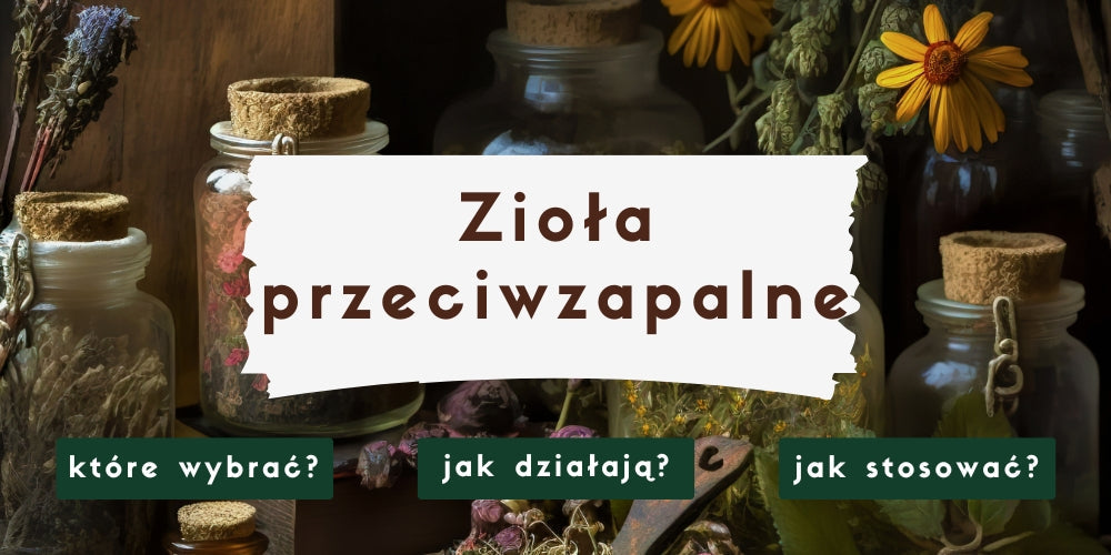 Najskuteczniejsze zioła przeciwzapalne